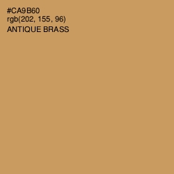 #CA9B60 - Antique Brass Color Image